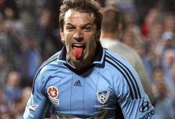 杯的迅速适 杯的迅速适