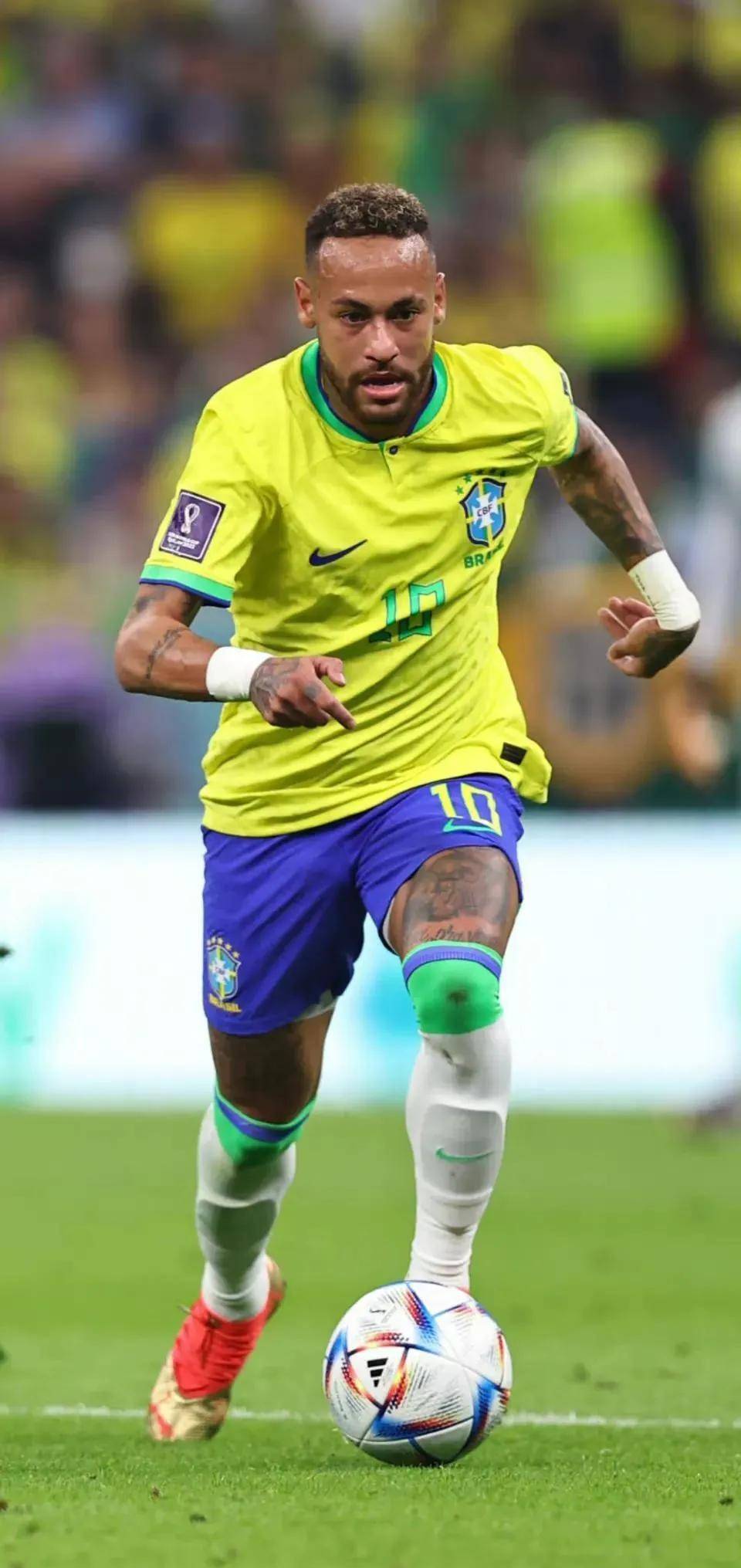 新手阶段明 新手阶段明